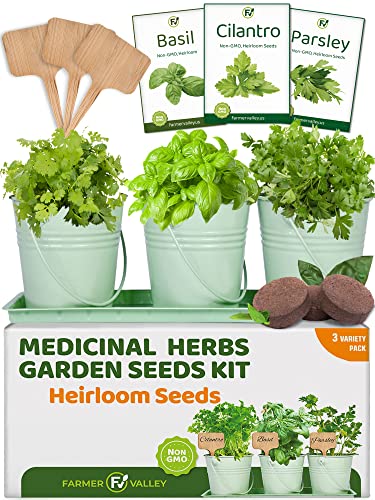 Herb Garden Starter Kit - Medicinal & Tea Heirloom, Non GMO Herb Se...