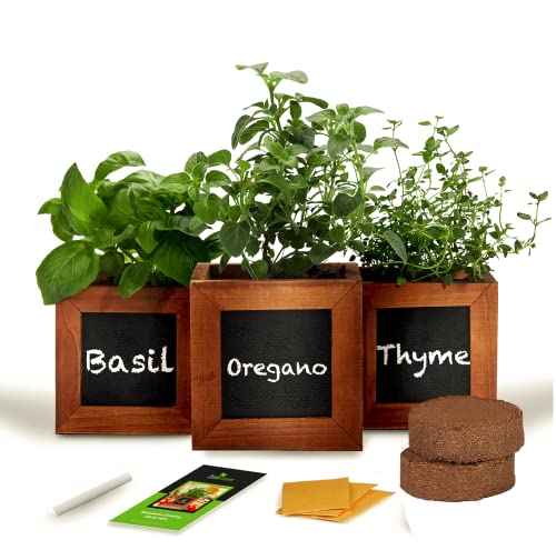 Indoor Herb Garden Kit - Includes 3 Wooden Herb Pots, Internal drip...