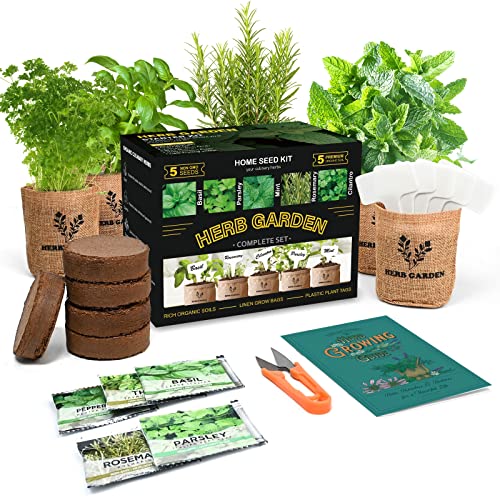 Indoor Herb Garden Starter Kit, 5 Non-GMO Herb Seeds - Basil, Parsl...