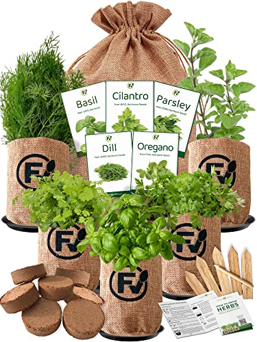 Indoor Herb Starter Grow Kit - 5 Different Medicinal & Tea Herb See...