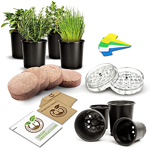 Indoor Live Herb Garden & Plant Seed Starter Kit - DIY Transplantin...