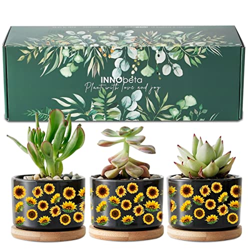 InnoBeta 3pcs Sunflower Planter Plant Pots with Drainages & Wooden ...