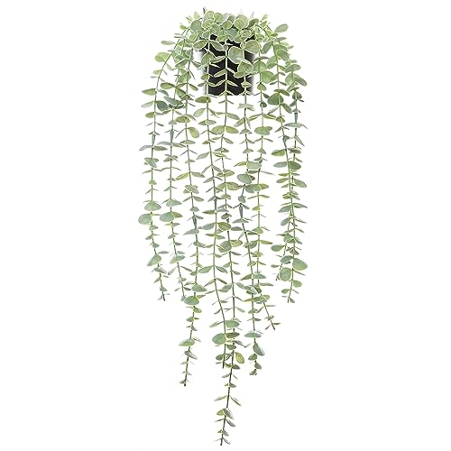 Ioovelo Artificial Hanging Plants, Fake Frost Green Eucalyptus Gree...