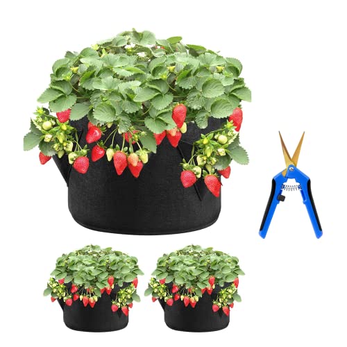 iPower Strawberry Grow Bags 3 Gallon 2-Pack Planter Pots with 6 Sid...