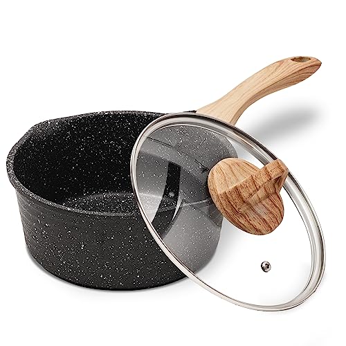 JEETEE 2 Quart Sauce Pan with Lid, Non Stick Small Pot with German ...