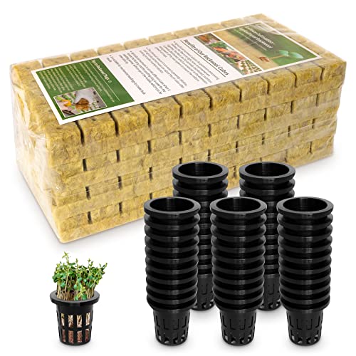 Jowlawn 1  Rockwool Cubes for Hydroponics 200 Plugs with 50 Pack 1....