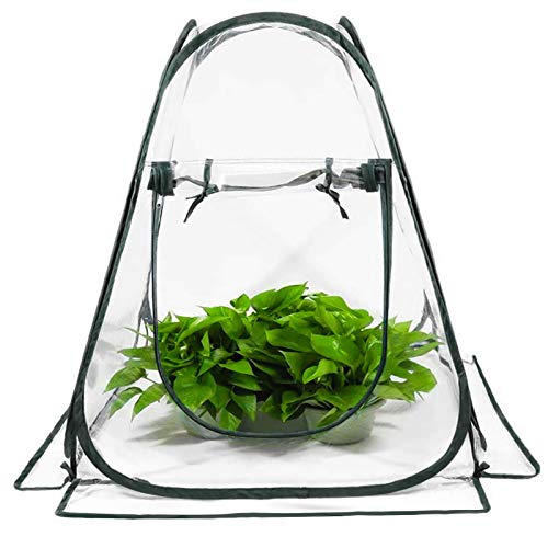 Junejour Mini Greenhouse for Indoor Outdoor, Small Greenhouse for I...