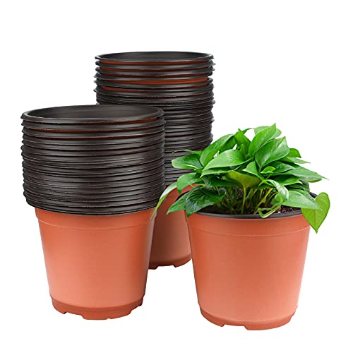 KINGLAKE 50 Pcs 6  Plastic Plants Nursery Seedlings Pot Pots Flower...