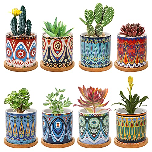 Kingrol 8 Pack Succulent Pots, Mini Ceramic Flower Planter Pot with...
