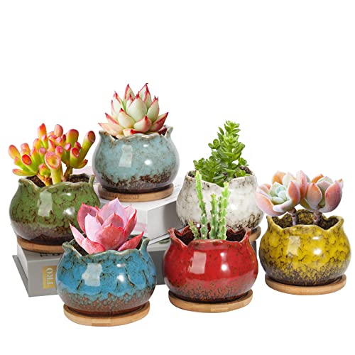 Laerjin Succulent Pots, 4 Inch Ceramic Plant Pots and Drainage Hole...