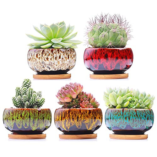 LAMDAWN Cute Ceramic Succulent Garden Pots, Planter with Drainage a...