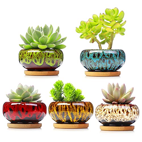 LAMDAWN Cute Ceramic Succulent Pots, 3.7 Inches Planters with Drain...