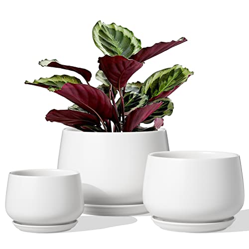 LE TAUCI Ceramic Plant Pots, 4.1+5.1+6.5 inch, Set of 3, Planters w...