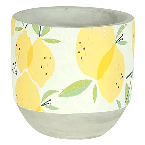 Lucky Winner Fresh Lemon Planter Pot - Cement Summer Lemons Succule...