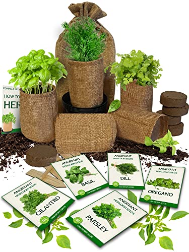 Medicinal Herbs Starter Kit - Non GMO, Heirloom Seeds - Basil, Pars...