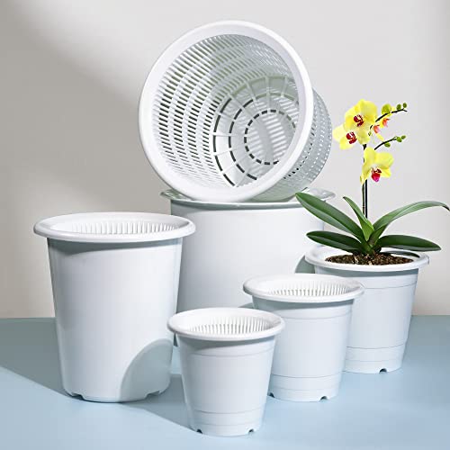 Meshpot 3.5 Inches Plastic Orchid Pots with Holes Succulent Planter...