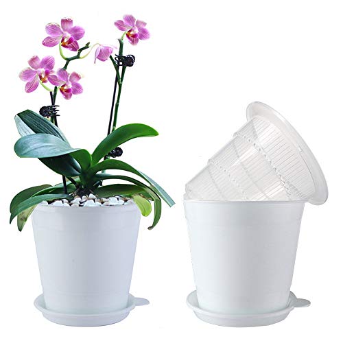Meshpot 4 Inches Clear Plastic Orchid Pots with Holes Succulent Pla...