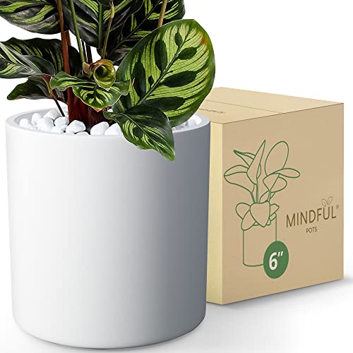 Mindful Pots 6 inch Plant Pot for Indoor Plants, Durable & Sturdy F...
