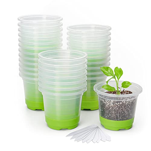 MIXC 30 Packs 4  Reinforced Clear Nursery Pots with Silicone Base f...
