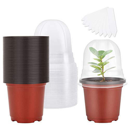 MIXC Plant Nursery Pots with Humidity Dome 4  Soft Transparent Plas...
