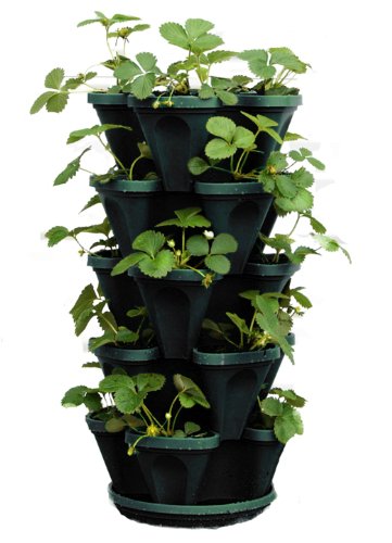 Mr. Stacky 1305-HG 5-Tier Stackable Strawberry, Herb, Flower, & Veg...