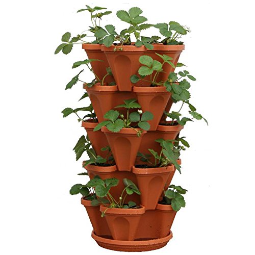 Mr. Stacky 5-Tier Strawberry Planter Pot, 5 Pots...