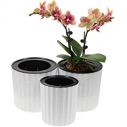 MUZHI Orchid Pot with Net and Holes, Round Self Watering Planter Po...