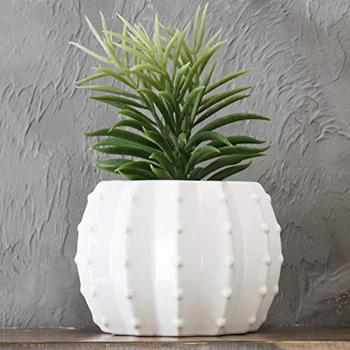 MyGift 5-inch White Ceramic Indoor Plant Pot, Southwestern Cactus S...
