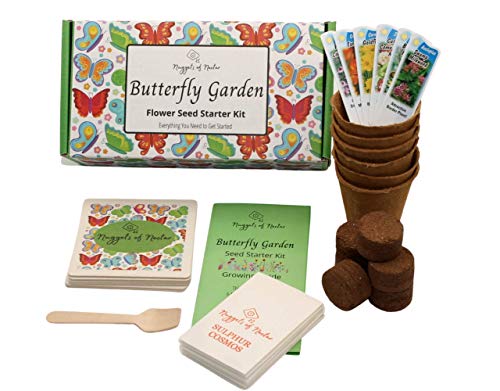 Nuggets of Nectar Butterfly Garden Flower Seed Starter Kit - Grow 6...