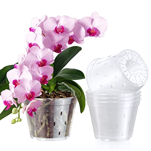 Orchid Pots with Holes Indoor Clear Plastic Plant Pot Set (5.5  - 4...
