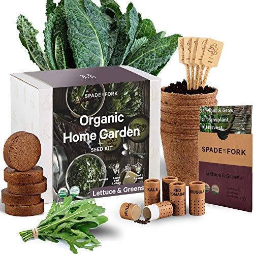 Organic Indoor Lettuce & Greens Garden Starter Kit - Certified USDA...