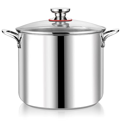 P&P CHEF 12 Quart Stainless Steel Stockpot with Glass Lid, Extra La...