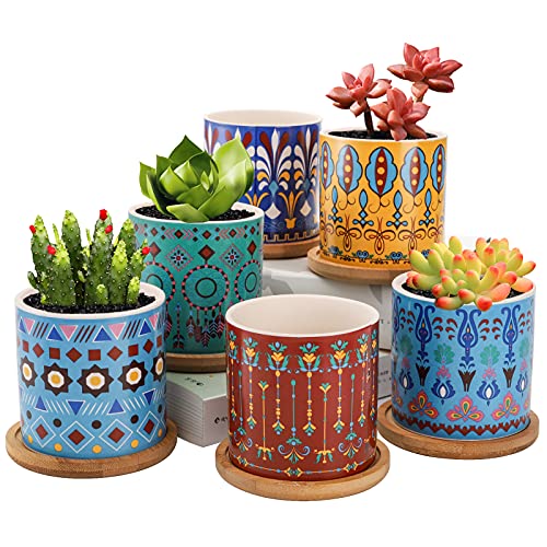 Peohud 6 Pack Succulent Pots, 3 Inch Ceramic Cactus Pots, Small Flo...