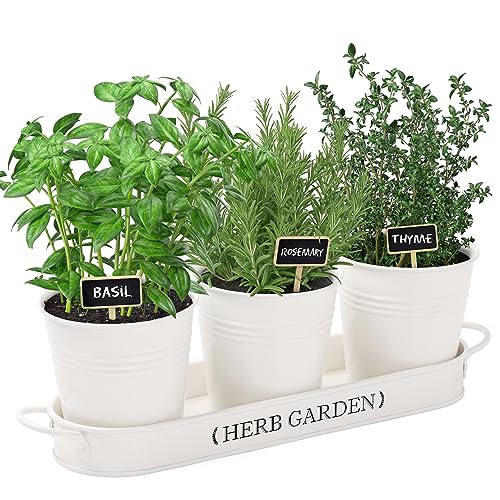 PERFNIQUE Indoor Herb Garden, Herb Garden Planter for Indoor Outdoo...