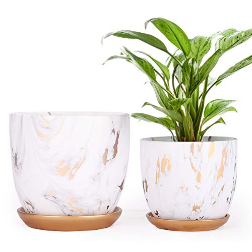 PETSWI Ceramic Plant pots (7 & 5.5 Inch, Set of 2), Modern Flower P...