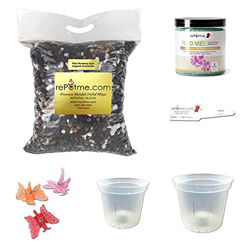 Phalaenopsis Orchid Growing Starter Kit - Includes Instruction Shee...