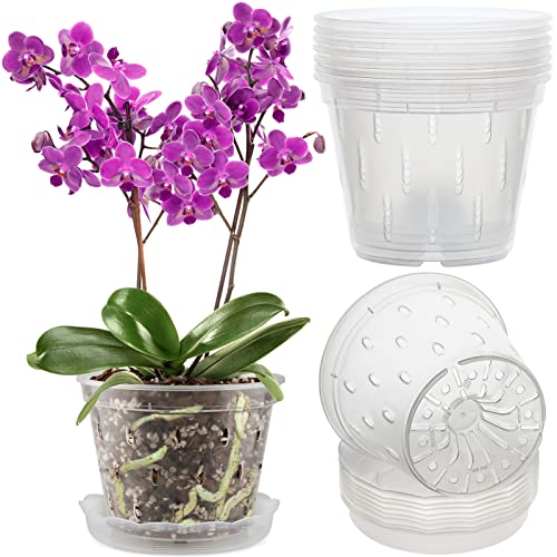 REMIAWY Orchid Pot, 8 Pack Orchid Pots with Holes and Saucers, 5.5 ...