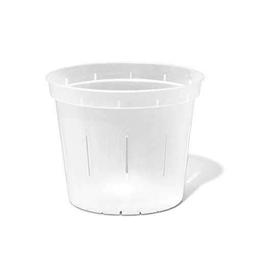 rePotme 6 inch Orchid Pots - 3 Pack, Crystal Clear Slotted Orchid P...