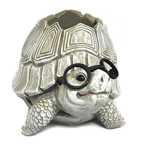 Roman Giftware Inc., Garden Collection, Pudgy Pals, 5.7  H Turtle W...