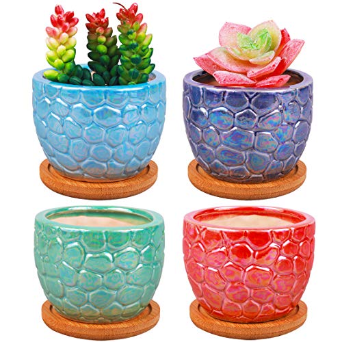 ROSE CREATE 3.5 Inches Ceramic Succulent Planters, Colorful Bonsai ...