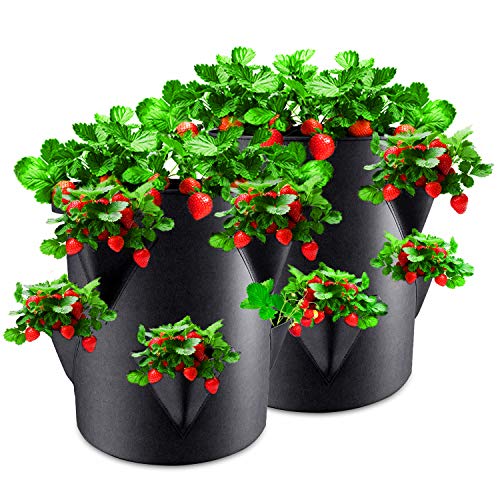 Rouffiel Strawberry Planting Bags, 2 Pack 10 Gallon Planting Pots w...