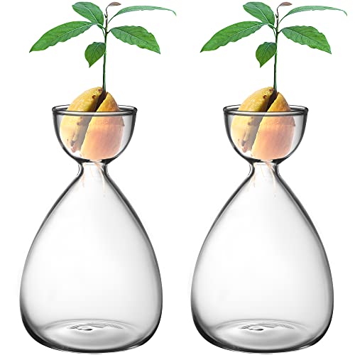 RunNico 2pcs Small Avocado Seed Starter Vase,Avocado Tree Growing K...