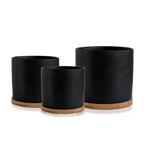 Set 3 Ceramic Plant Pots with Bamboo Coasters Indoor Planters White...