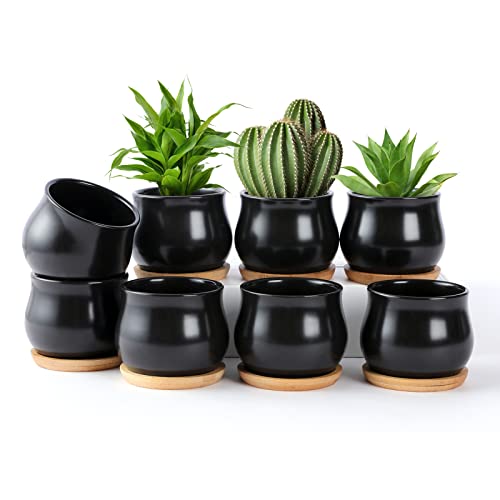 SHECIPIN 8 Pack Succulent Plant Pot, Matte Black Mini 2.6 inch Cera...