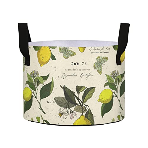 Sinestour Lemon Tree Grow Bags 10 Gallon Fabric Pots with Handles H...