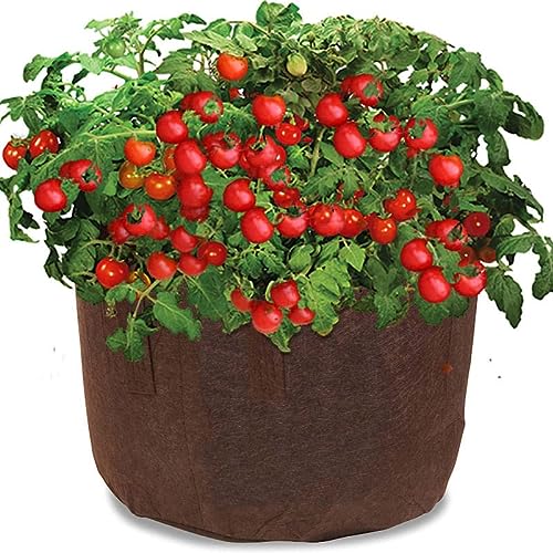 Soft Pot Tomato Garden Kit from Maui Mike s with Jiffy 7 s starter ...