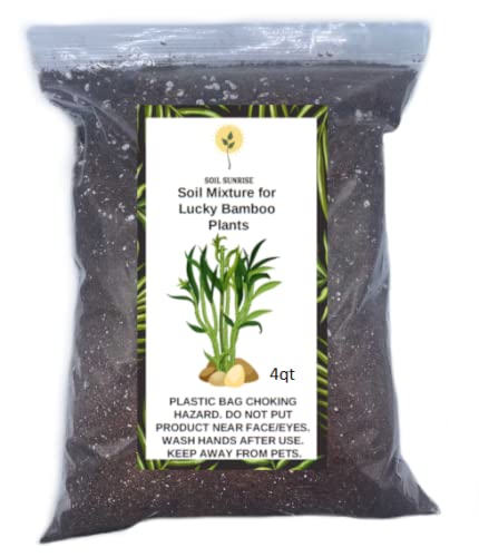 Soil Mixture for Lucky Bamboo Plants, Specialized Soil Mix for Luck...