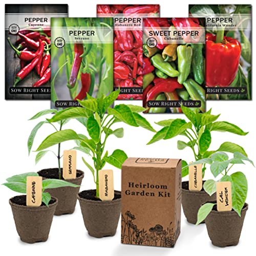 Sow Right Seeds - Heirloom Pepper Starter Kit - 5 Seed Packets, Pot...