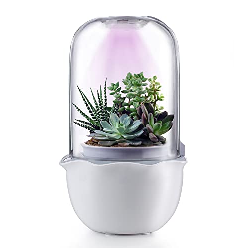 Succulent Pot with Grow Light,Smart Terrarium Planter with Timer&Fa...