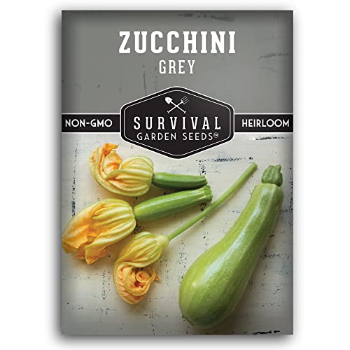 Survival Garden Seeds - Grey Zucchini Seed for Planting - Packet wi...